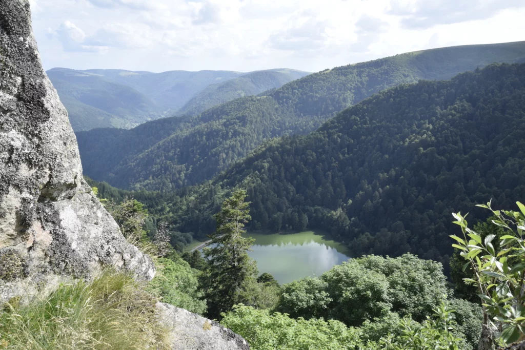 Vosges Mountains, France & Germany ultra running