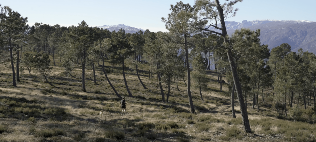 Ultrarunner Magazine portugal trails