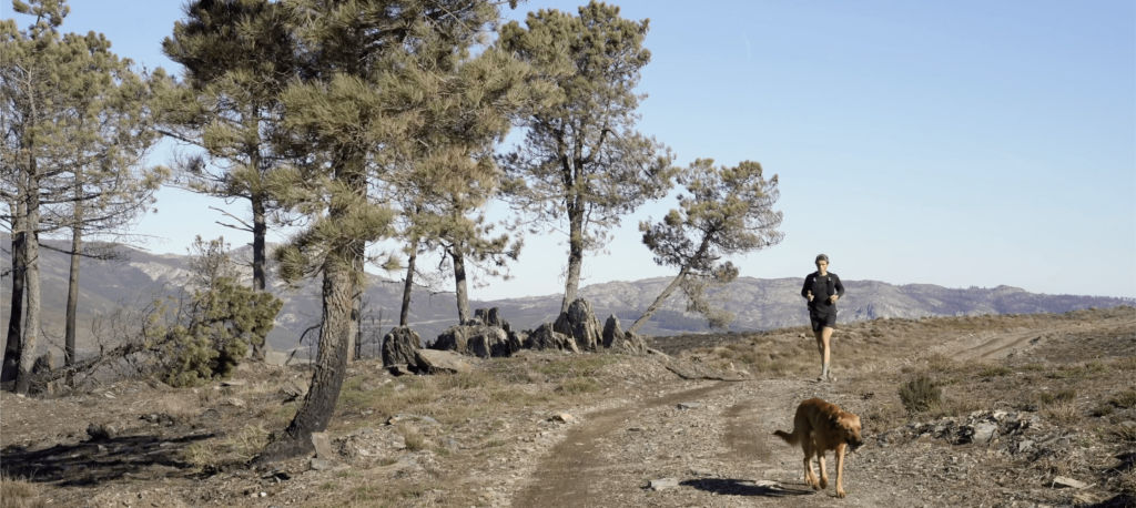 Portugal trail running in Explore