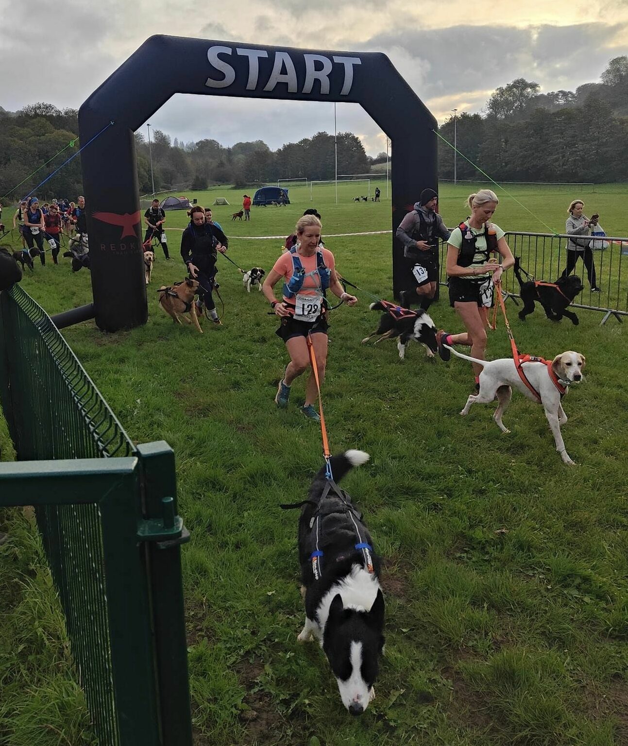 Cani0Trail Ultra race for runners and dogs