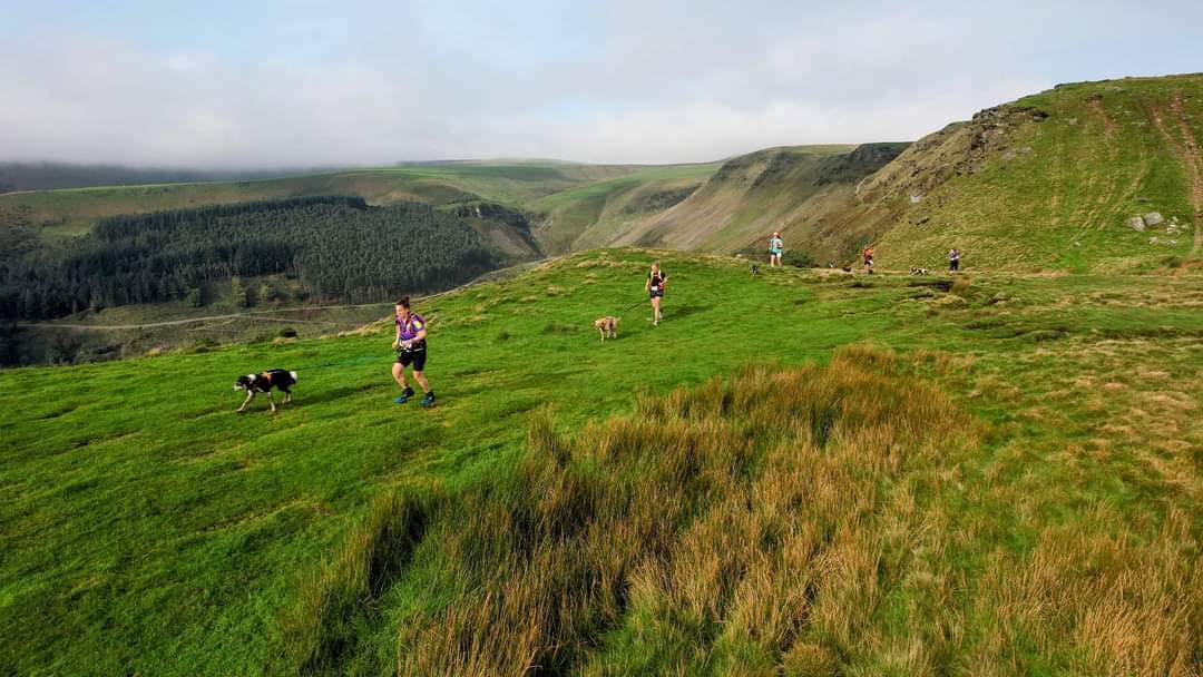 UK Cani-Trail ultra marathon