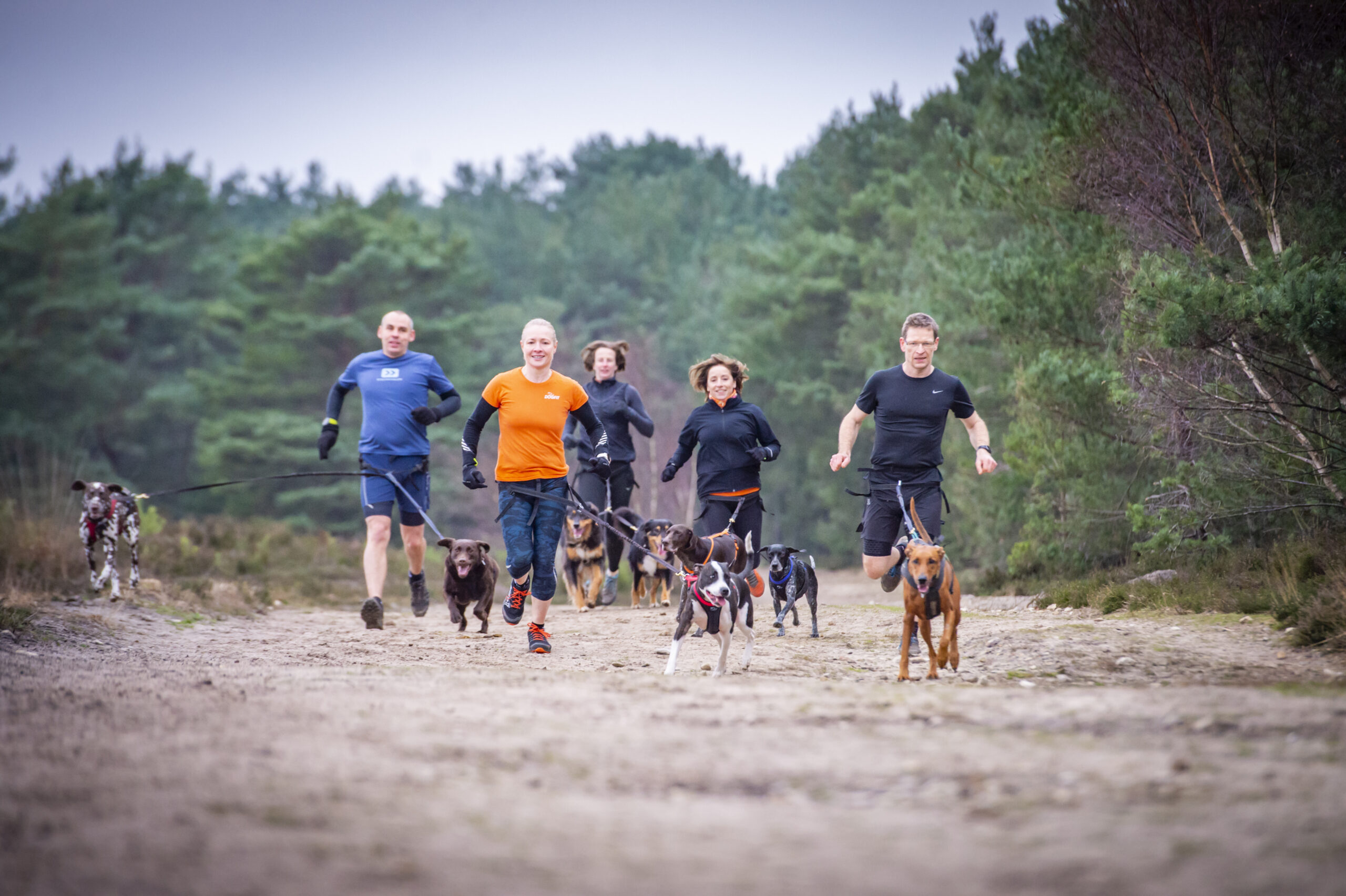 Canicross with Dogfit