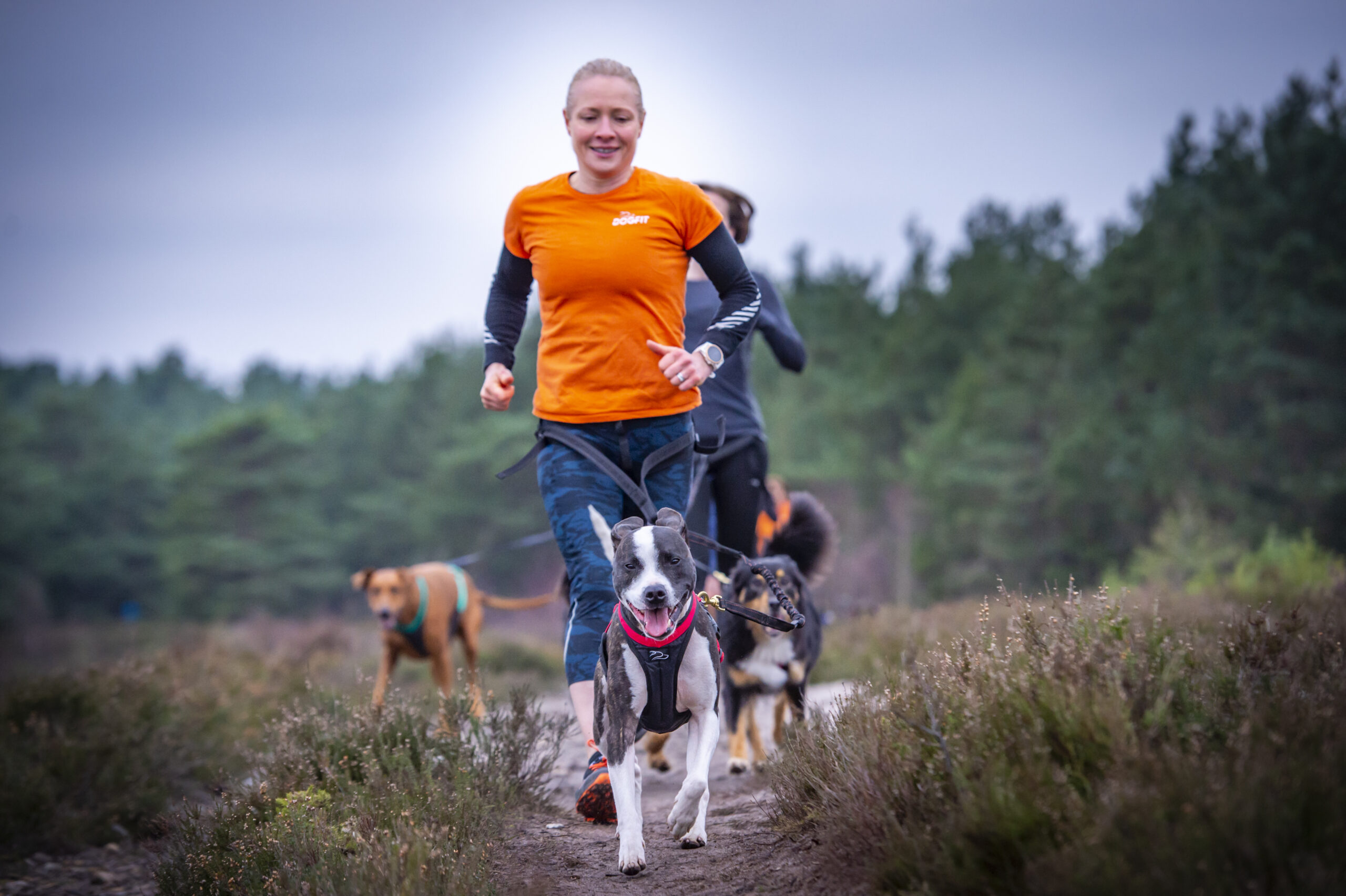 ultra runners do canicross with their dogs