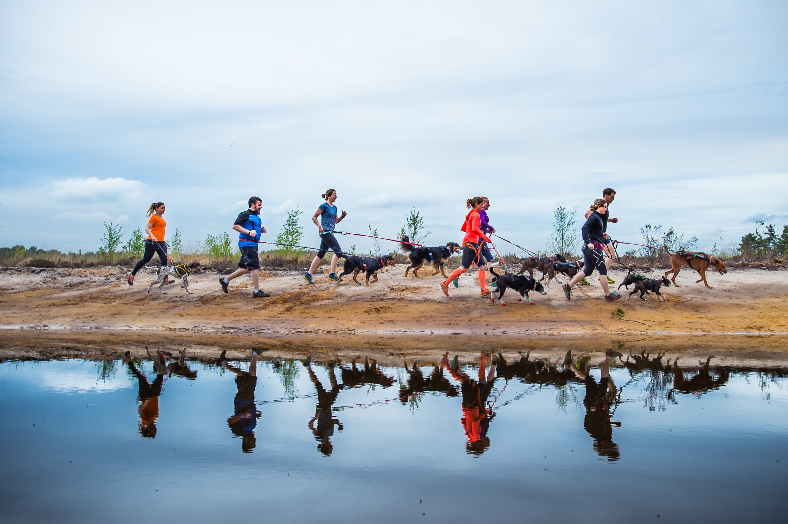 Canicross ultra running with dogs