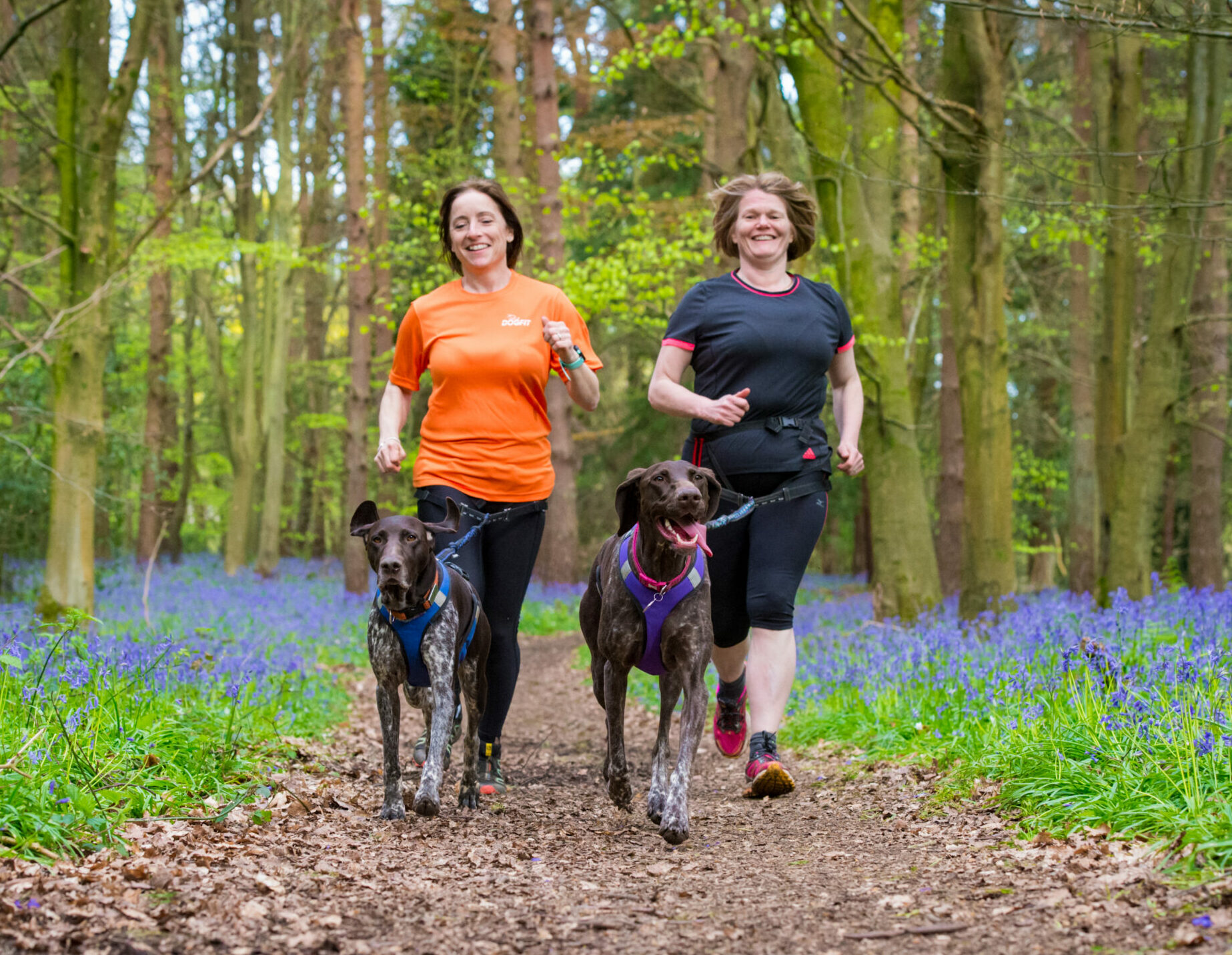 Canicross with Dogfit