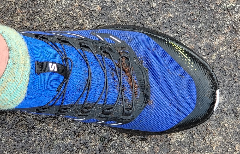 Salomon Pulsar Pro 2 ultra running