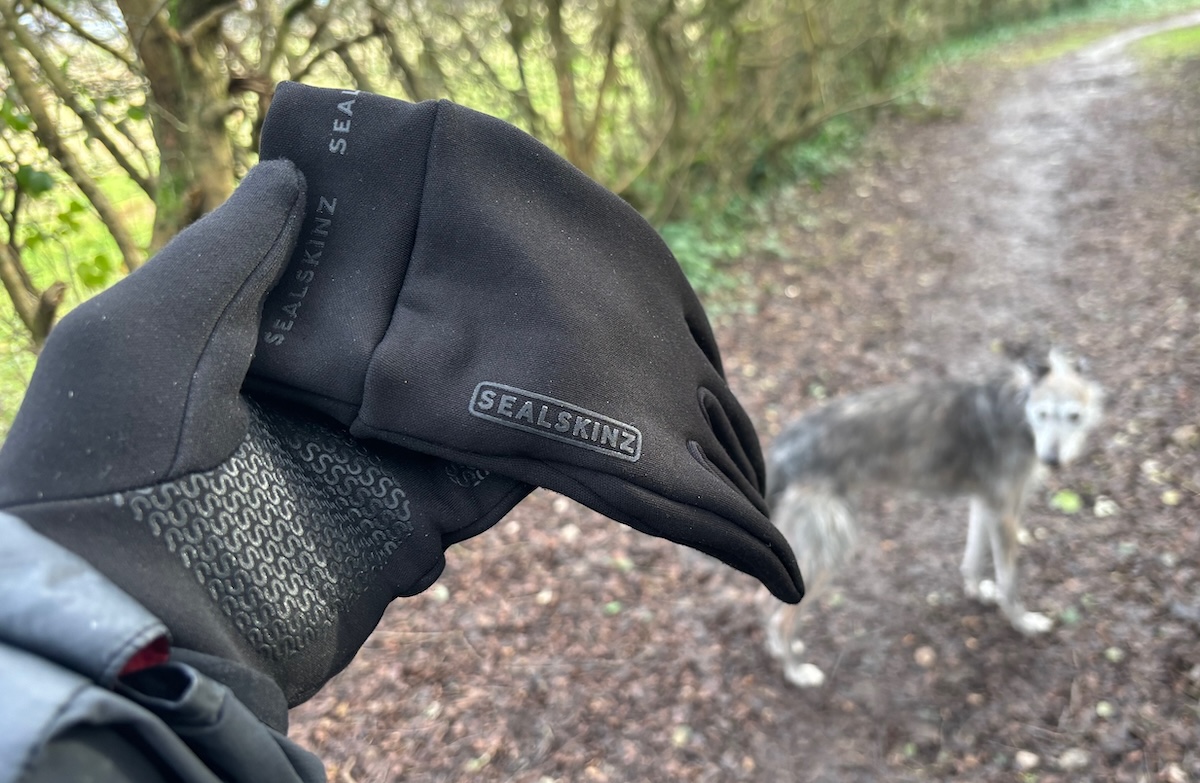 Sealskinz Acle waterproof glove review