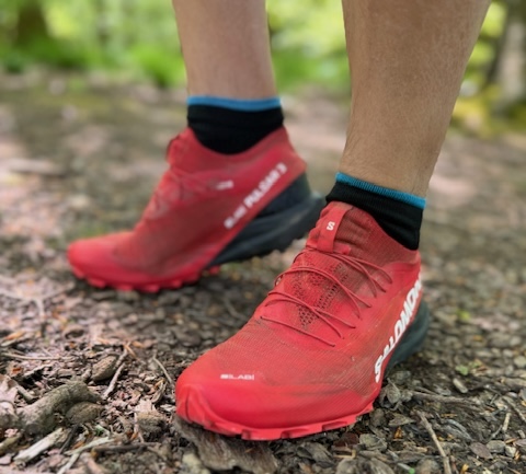 Salomon pulsar running shoe review